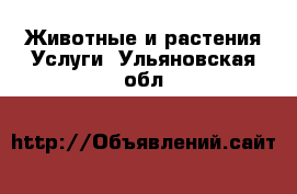 Животные и растения Услуги. Ульяновская обл.